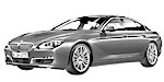 BMW F06 P133E Fault Code